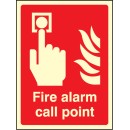 Fire Alarm Call Point