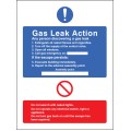 Gas Leak Action